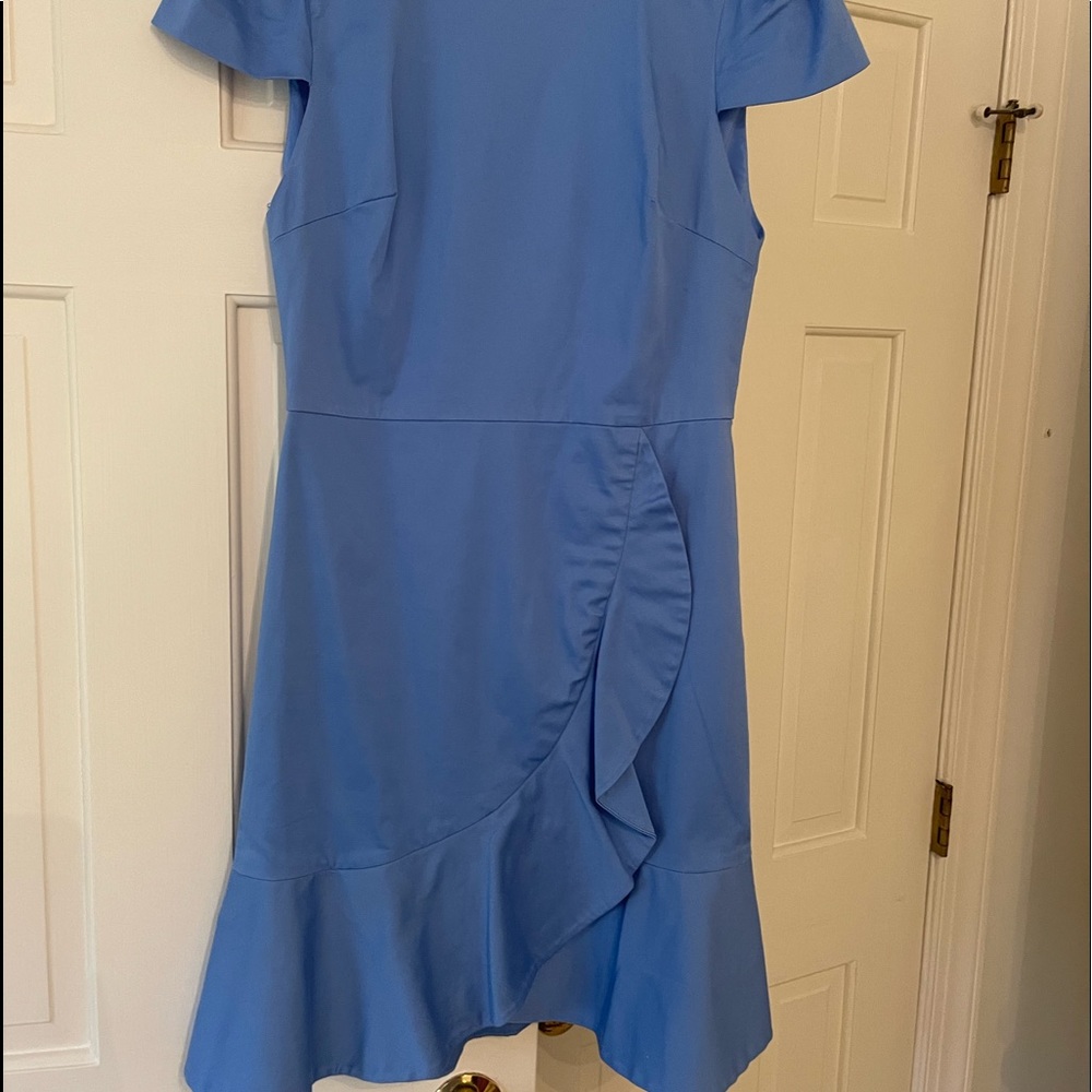 Blue alice and olivia dress